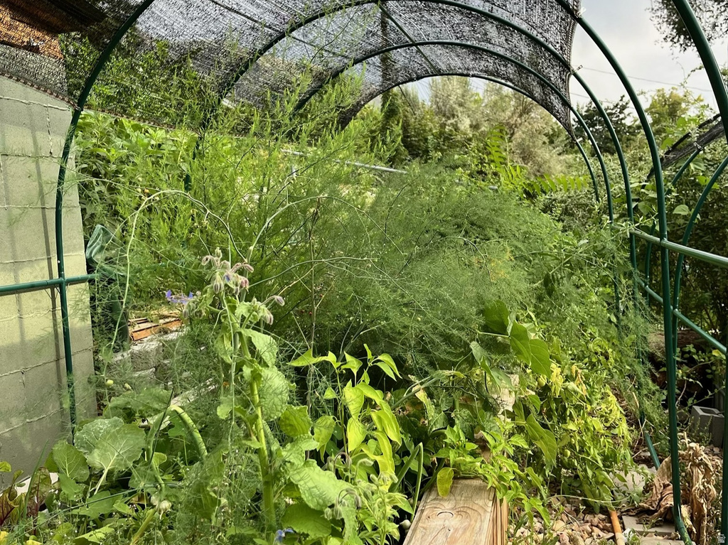 4085 S OLYMPIC WAY Holladay, UT 84124