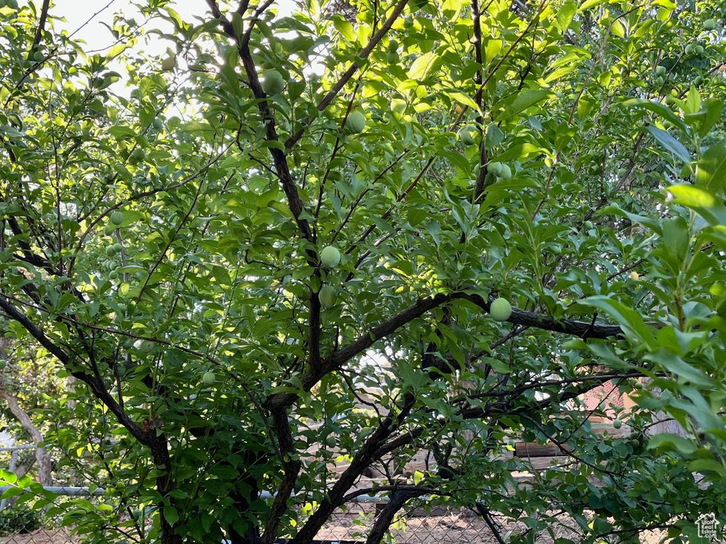 4085 S OLYMPIC WAY Holladay, UT 84124