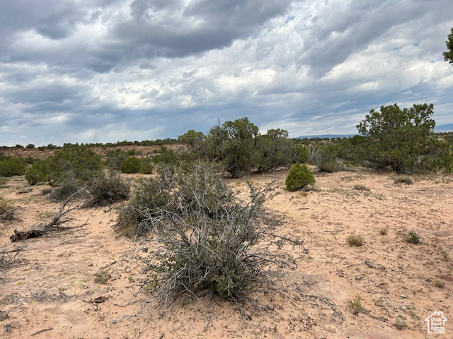  Roosevelt, UT 84066