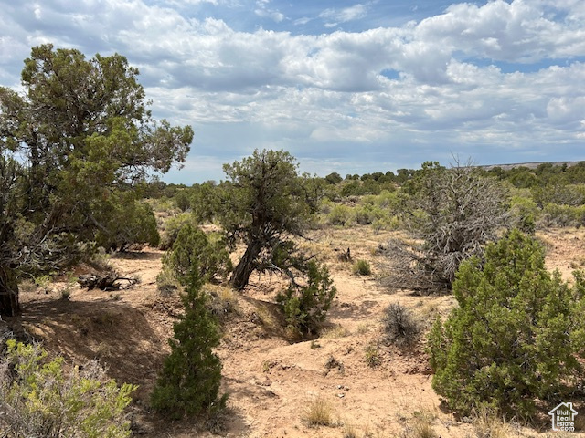  Roosevelt, UT 84066