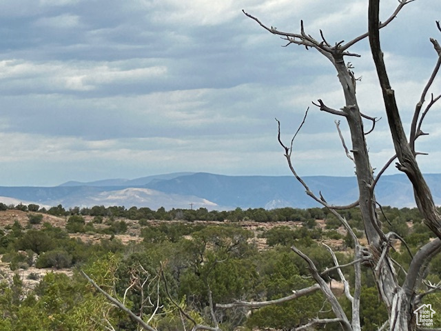  Roosevelt, UT 84066