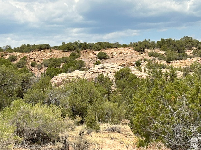  Roosevelt, UT 84066