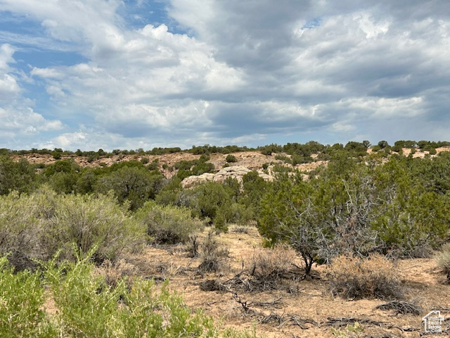  Roosevelt, UT 84066