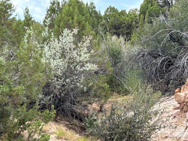  Roosevelt, UT 84066