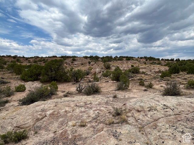  Roosevelt, UT 84066