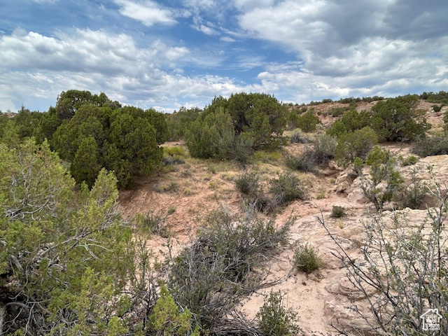  Roosevelt, UT 84066