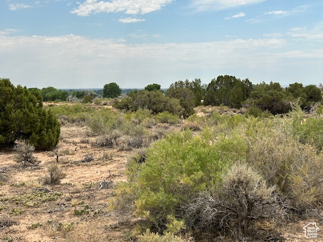  Roosevelt, UT 84066