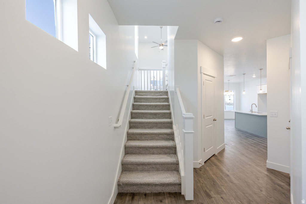 4769 S OLIVE AVE #411 Mapleton, UT 84664