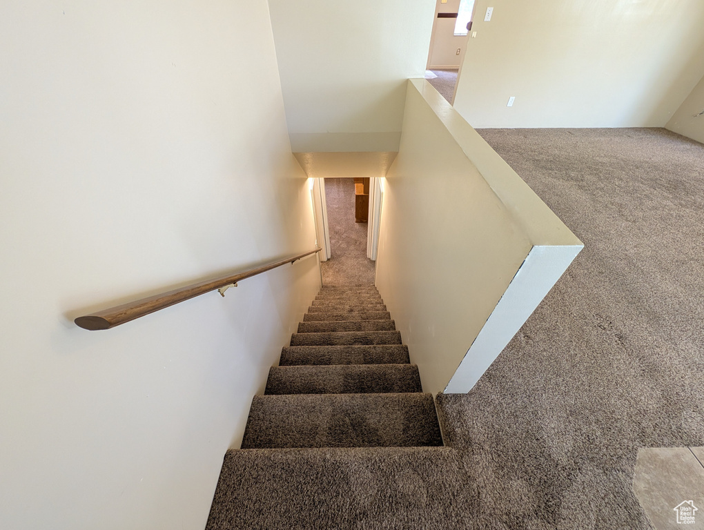 Stairs with carpet