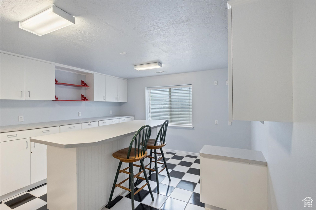 Photo 15 for MLS #2112421 at 1768 E Dove Way