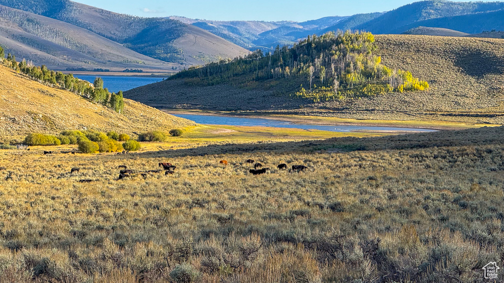 757 W SPRING CREEK CIR Scofield, UT 84526