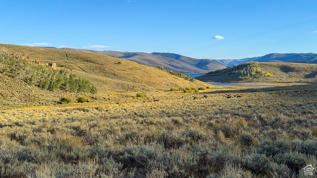 757 W SPRING CREEK CIR Scofield, UT 84526