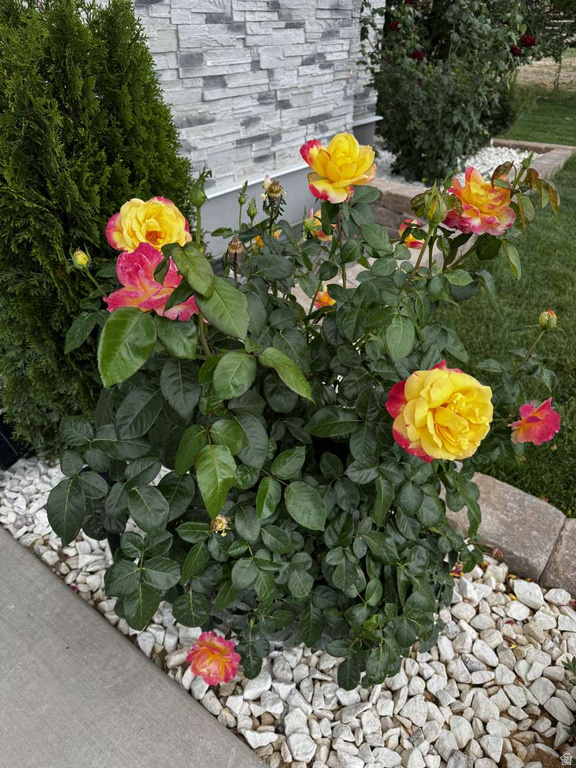 11433 S 5600 W Payson, UT 84651