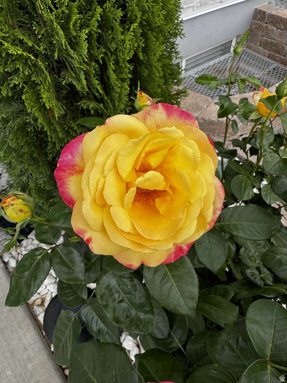 11433 S 5600 W Payson, UT 84651