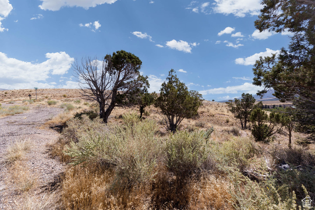 1350 S TIMBERLINE DR Marysvale, UT 84750