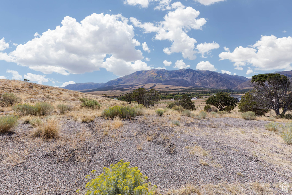 1350 S TIMBERLINE DR Marysvale, UT 84750