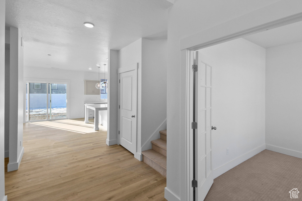 2409 W 2950 N #101 Farr West, UT 84404