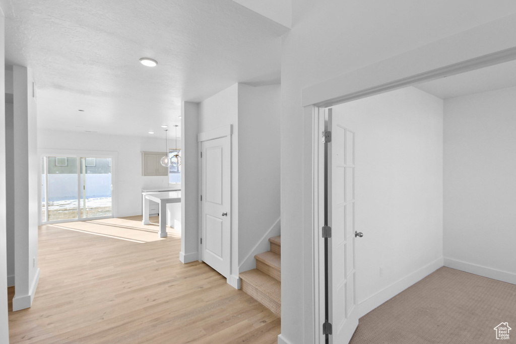 2409 W 2950 N #101 Farr West, UT 84404