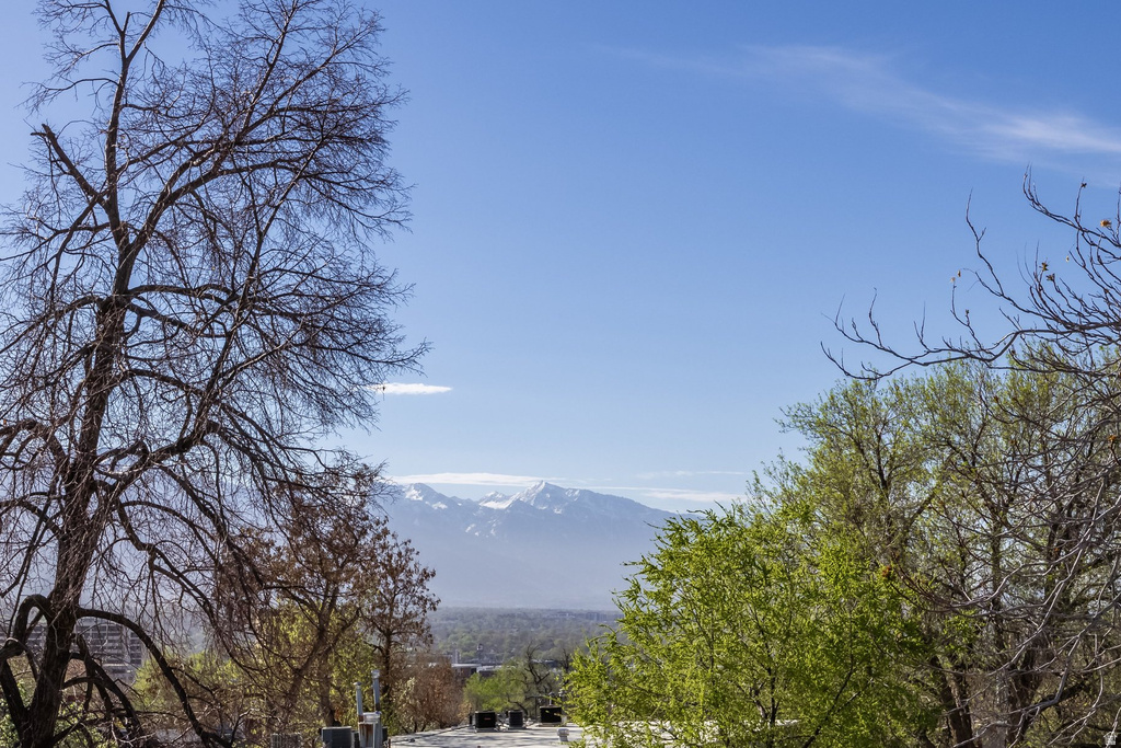 265 E FIFTH AVE Salt Lake City, UT 84103