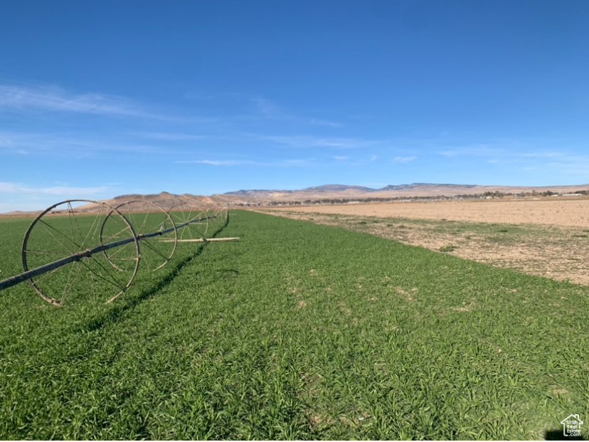  Centerfield, UT 84622