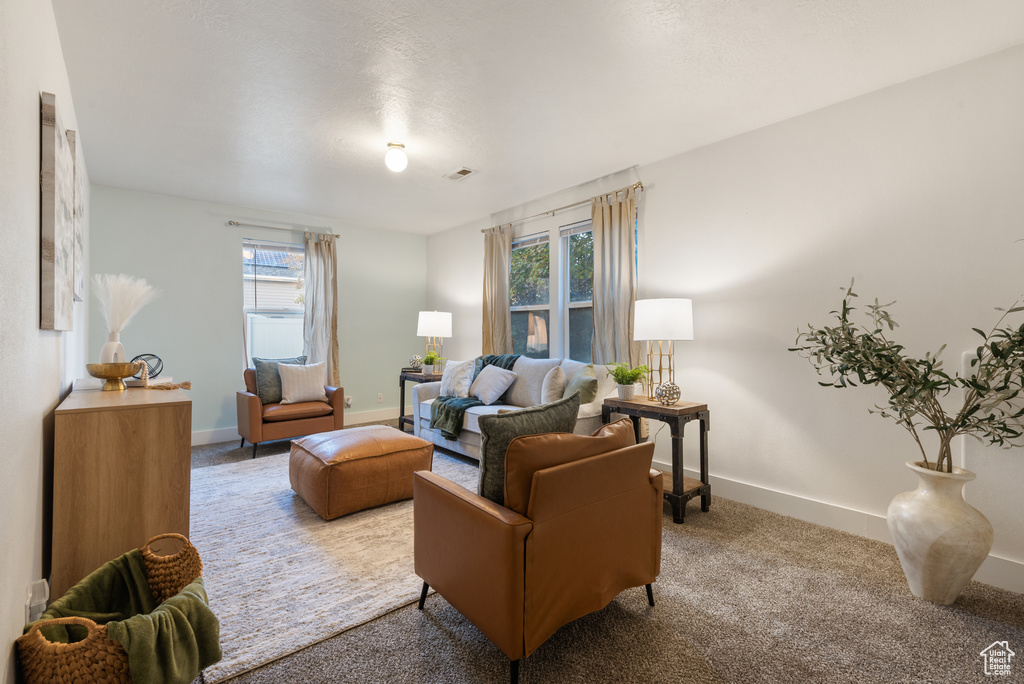 Photo 16 for MLS #2112535 at 1655 N Cerroni Dr