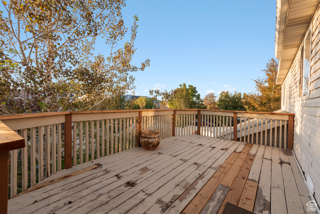 Photo 23 for MLS #2112535 at 1655 N Cerroni Dr