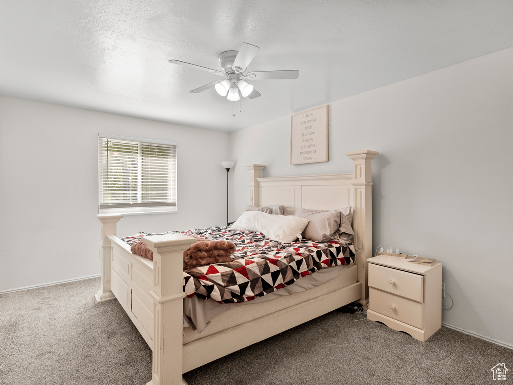 Photo 15 for MLS #2112542 at 3978 W Marlis Cir
