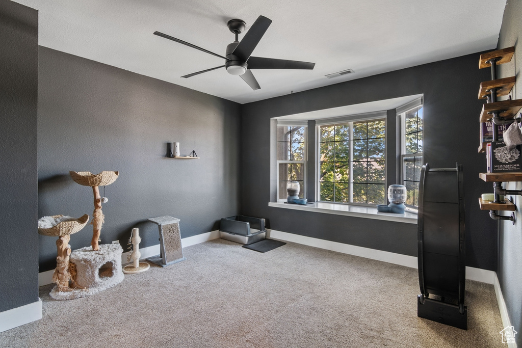 Photo 14 for MLS #2112630 at 7723 S Briarsprings Dr