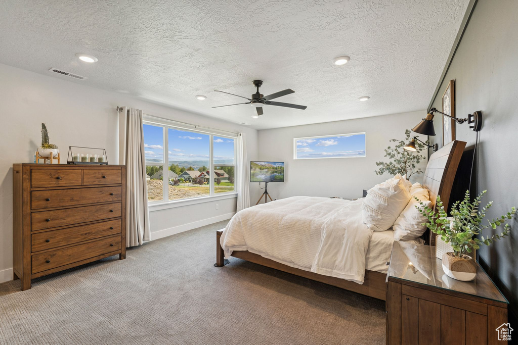 Photo 38 for MLS #2112643 at 1128 N Springer View Loop