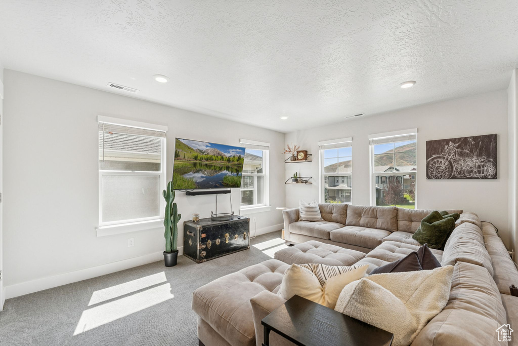 Photo 27 for MLS #2112643 at 1128 N Springer View Loop