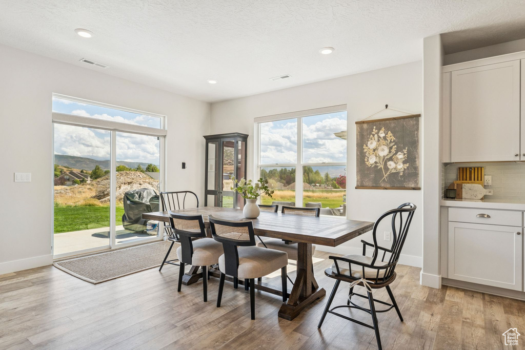 Photo 12 for MLS #2112643 at 1128 N Springer View Loop