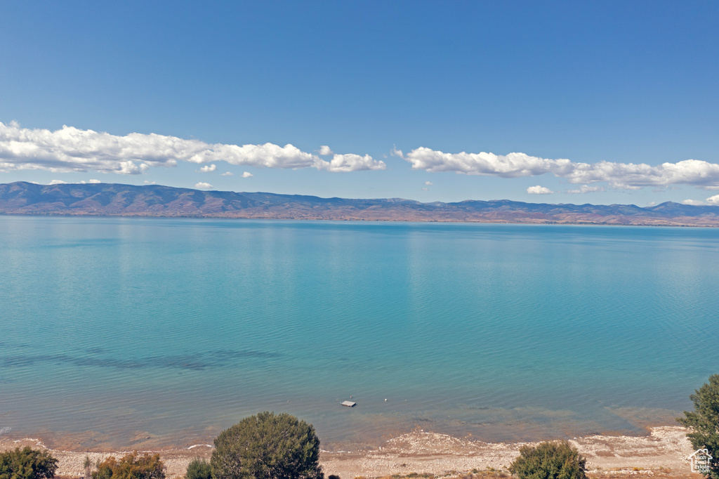 208 CHOKE CHERRY DR Saint Charles, ID 83272