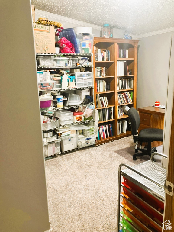 275 S MAPLE ST Wellington, UT 84542
