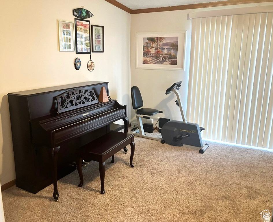 275 S MAPLE ST Wellington, UT 84542