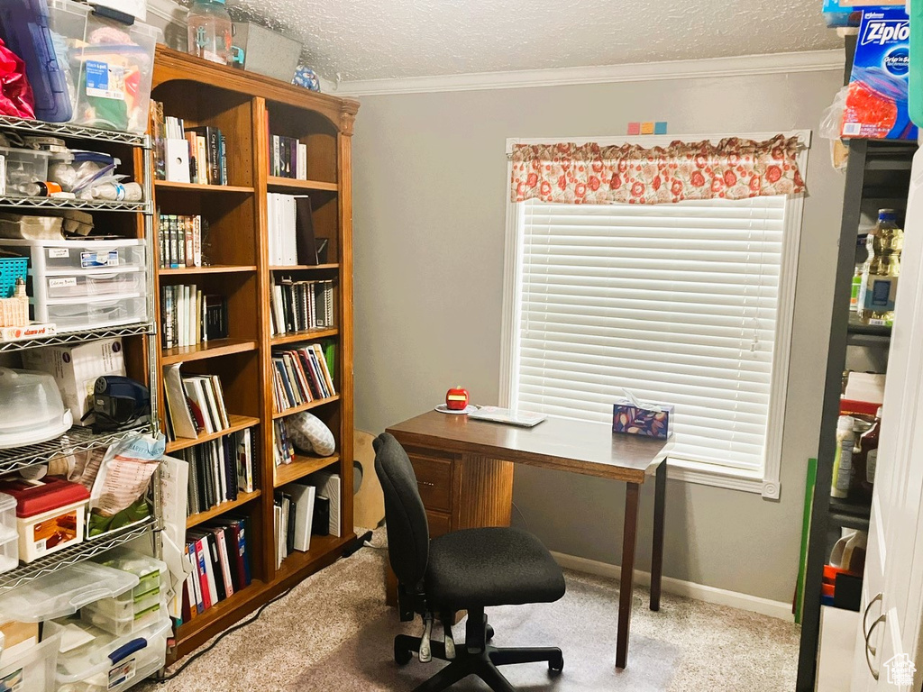 275 S MAPLE ST Wellington, UT 84542