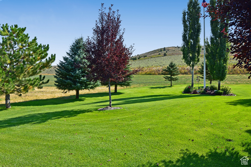 1500 FISH CREEK RD Bancroft, ID 83217