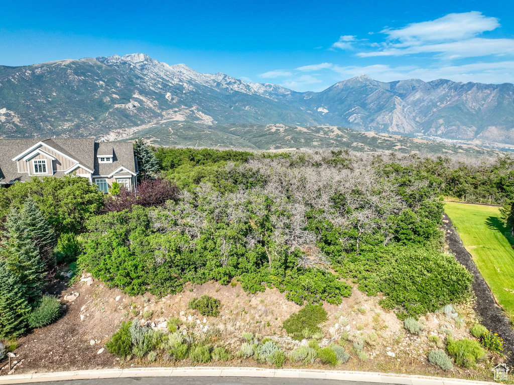 15211 S TALL WOODS DR Draper, UT 84020