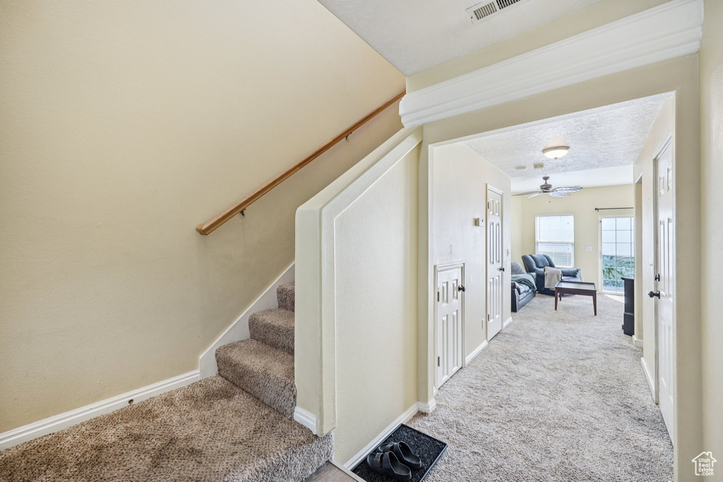 81 W 1930 N Tooele, UT 84074