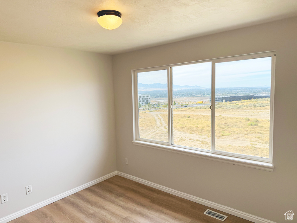 Spare room featuring light wood finished floors and a mountain view