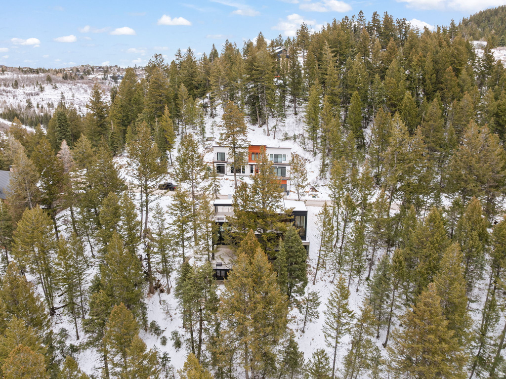 115 ST MORITZ TER Park City, UT 84098