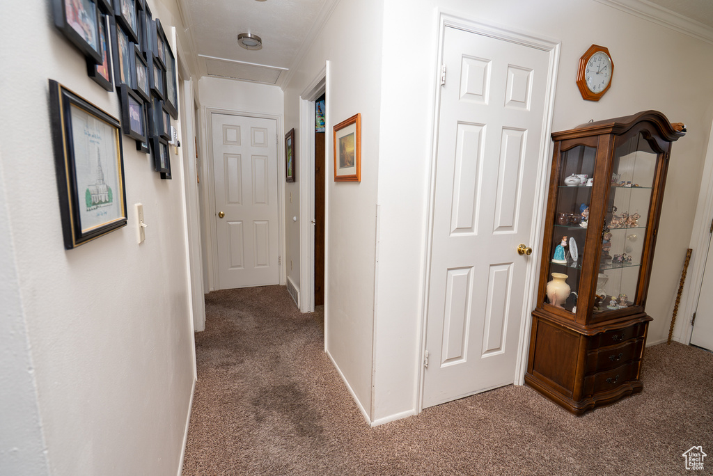 Photo 13 for MLS #2112904 at 3311 S Montclair St