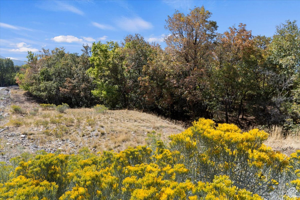 1067 S SUMMIT DR Woodland Hills, UT 84653