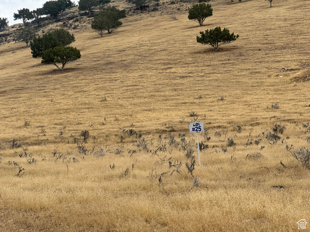 22280 N 2500 E Fountain Green, UT 84632