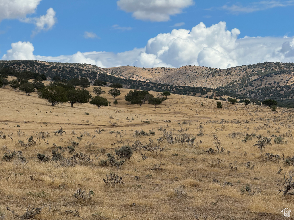 22280 N 2500 E Fountain Green, UT 84632