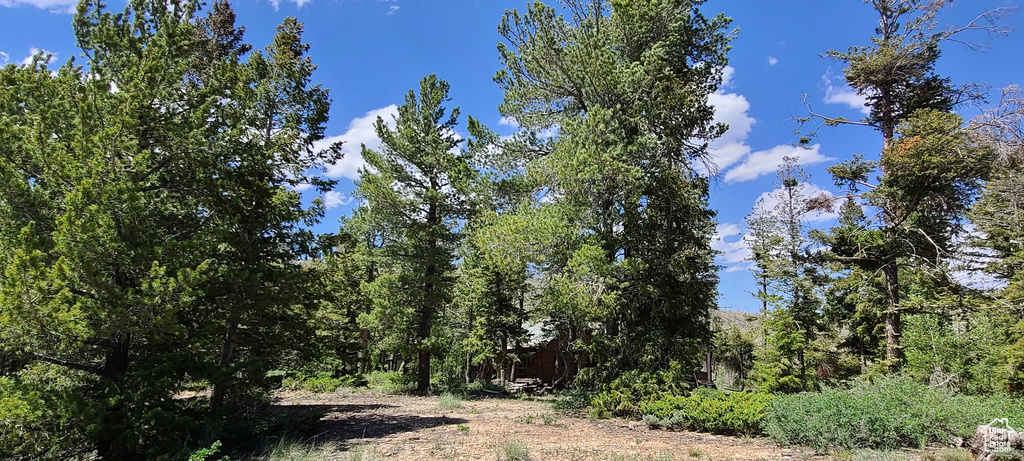  Duchesne, UT 84021