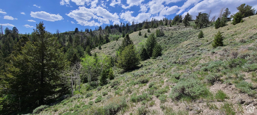  Duchesne, UT 84021