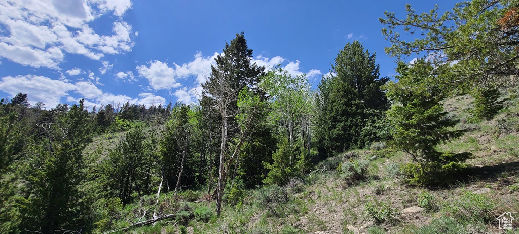  Duchesne, UT 84021