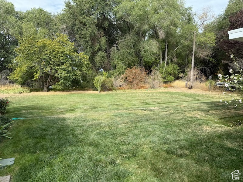 390 S 300 E Spanish Fork, UT 84660