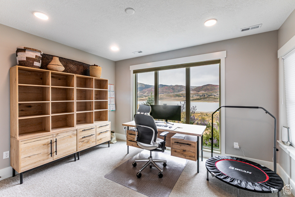 Carpeted home office featuring recessed lighting and a textured ceiling