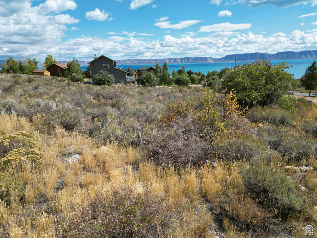 202  LEWIS LOOP Fish Haven, ID 83287